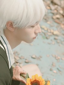 TF三代：误入真人乙游
