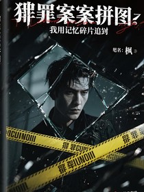 罪案拼圖：我用記憶碎片追兇