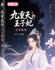 九重天的王子妃