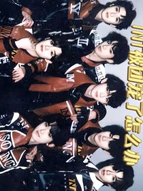 TNT被团宠了怎么办