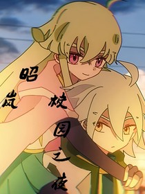 昭嵐校園之夜