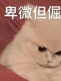 注意，神经出没！