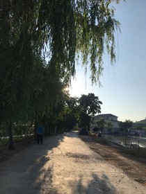 有爱不出口