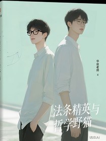 法条精英与哲学野猫