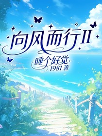向风而行II