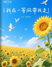 我在等风带我走