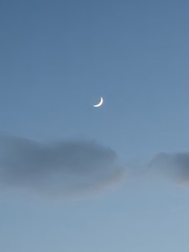 月燕蝶