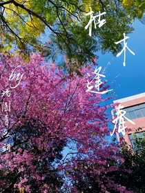枯木逢春by汤圆有点甜