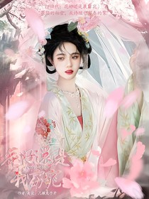 TF四代：花好還是我窈窕