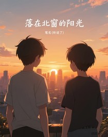 落在北窗的陽光-d126