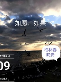 如愿，如果