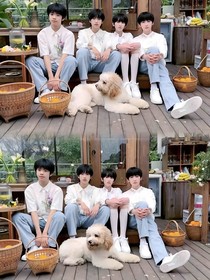 第七年夏迟