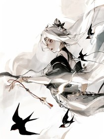 花落星辰緣