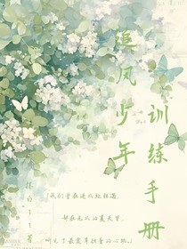 追风少年训练手册