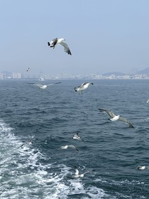 風(fēng)消互換