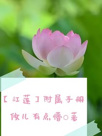 江莲附属手册