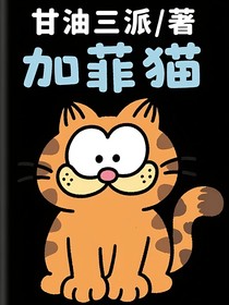 加菲貓先生