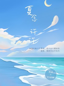 夏念许许