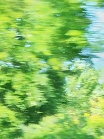 晚風(fēng)吹海棠