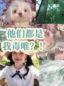 TNT：他們都是我毒唯
