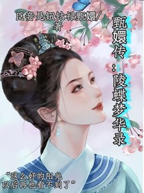 甄嬛傳：陵蝶夢華錄