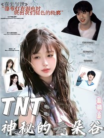 TNT：神秘的云朵谷