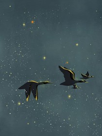 無效指令