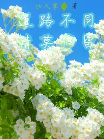 道路不同請(qǐng)莫停留