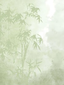 無憂樹