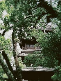 难生恨多嗔知