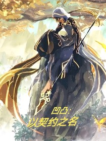 凹凸：以契約之名