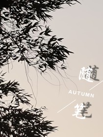 随笔杂文……