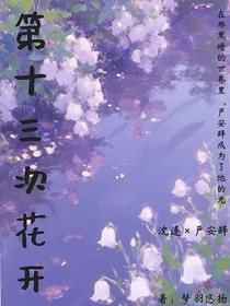 第十三次花開