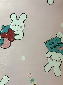 看未来（多世界人物）