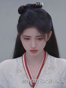 陈情令之灵汐月