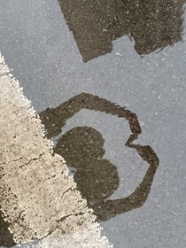 我要让伤害我的人去死
