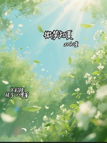 微梦知夏