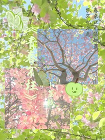 青春不枉1