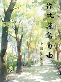 你比飞鸟自由