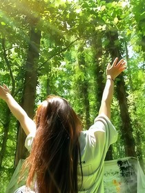 相逢在櫻花樹下