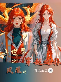 小世界之鳳凰的穿越之旅