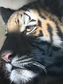 美丽的落日小镇
