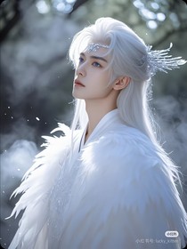雪羽仙途