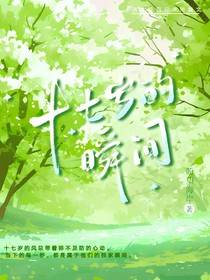 伽小——十七岁的瞬间