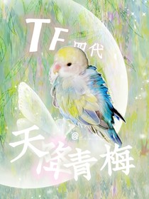 TF四代：天降青梅