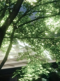 狂戀盛夏