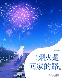 煙火是我回家的路
