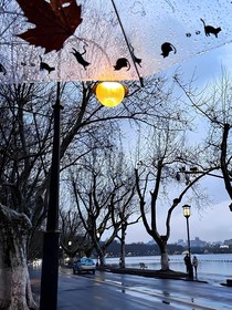 越海星
