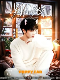 TOP：別扯小狗耳
