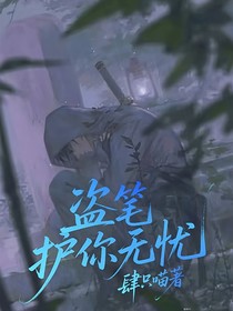 盗笔：护你无忧